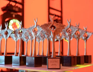 Miniatura: ShEO Awards 2023. W jakich dziedzinach...