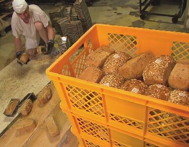 Miniatura: Dziś Święto Chleba. Jak wygląda proces...