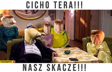 Mem związany ze skokami narciarskimi 