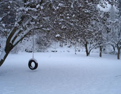 Miniatura: Mamy najzimniejszy poranek tej zimy. W...