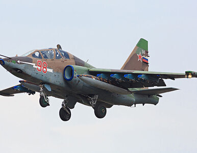 Miniatura: Rosyjski samolot bojowy zestrzelony nad...