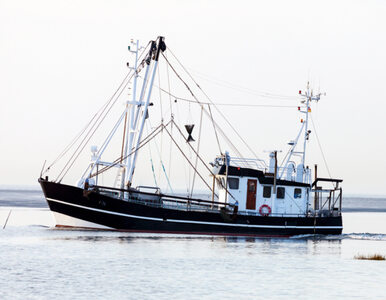 Miniatura: Brazylijski rybak dryfował przez 11 dni po...
