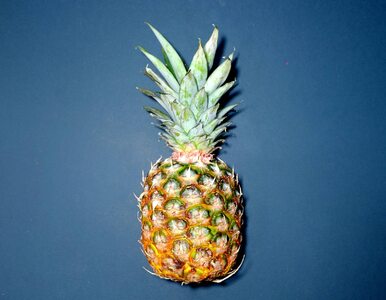 Miąższ ananasa... uchroni przed rakiem okrężnicy? Poznaj jego...