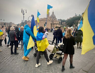 Miniatura: Чи хочуть біженці з України повернутися на...