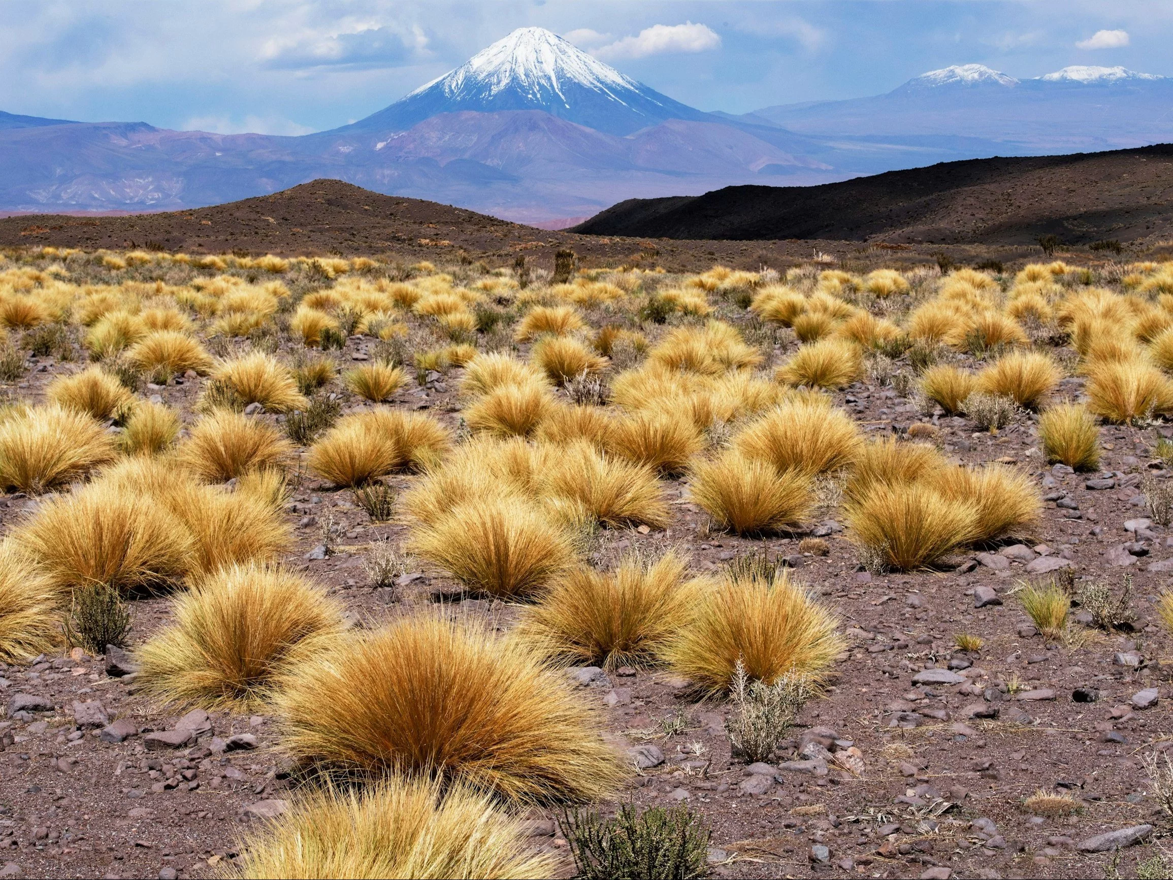 Morderczy QUIZ z geografii. Tak trudno jeszcze nie było