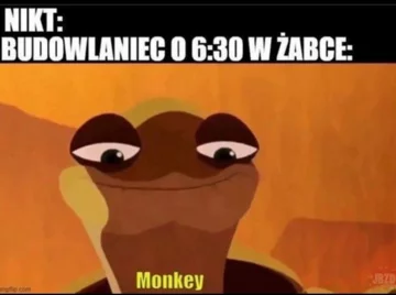 Mem frogshoposting 
