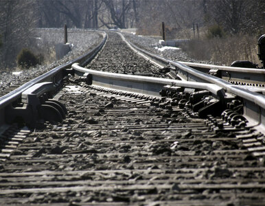 Miniatura: Francja: Wykoleił się pociąg TGV. 10 osób...