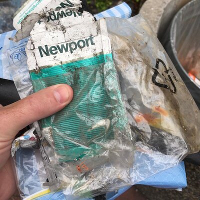 Miniatura: Zbiera śmieci, a ich zdjęcia zamieszcza w...