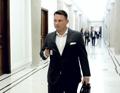 Miniatura: Haker wykradł dane partii Mentzena. Nie po...