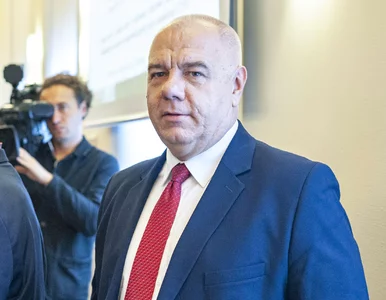 Miniatura: PiS chce zakazać aborcji eugenicznej?...