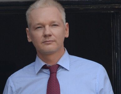 Miniatura: Założyciel WikiLeaks chce być senatorem w...