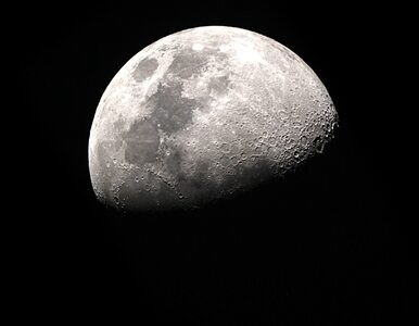 Miniatura: Domy na Księżycu powstaną z moczu...