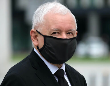 Miniatura: „GW”: Kaczyński chce iść na starcie z UE i...