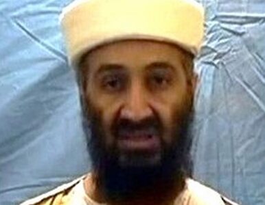 Miniatura: Nie zobaczymy zdjęć martwego bin Ladena