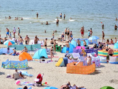 Miniatura: Skandaliczne zachowanie turystów na...