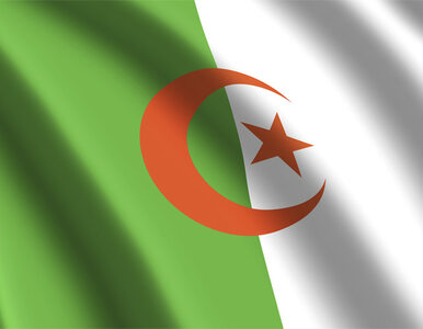 Miniatura: Algieria ma nowego premiera