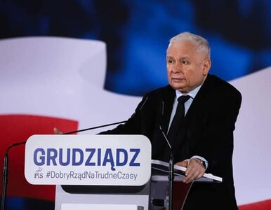 Miniatura: To już plan? Kaczyński znów wyśmiał...