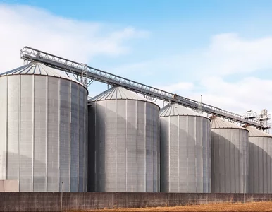 Miniatura: Czy Rosja szykuje się do kradzieży zboża i...