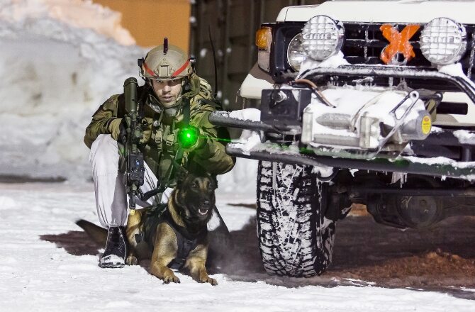 Norweski żołnierz laserem oznakowuje teren, który jego wykrywający miny pies powinien przeszukać. Zwierzęta te posiadają doskonały zmysł powonienia i mogą bez narażania żołnierzy przeszukiwać teren