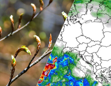 Miniatura: Dramatyczne prognozy na marzec. Polska...