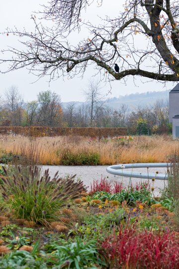 Naturalistyczny ogród Pieta Oudolfa na Vitra Campus w Weil am Rhein – przykład harmonii między dzikością a precyzyjnym projektowaniem 