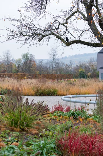 Naturalistyczny ogród Pieta Oudolfa na Vitra Campus w Weil am Rhein – przykład harmonii między dzikością a precyzyjnym projektowaniem 