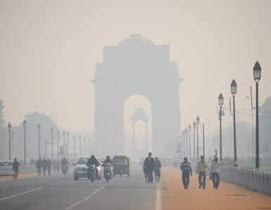 Smog sparaliżował Indie. Zamknięto szkoły i lotniska