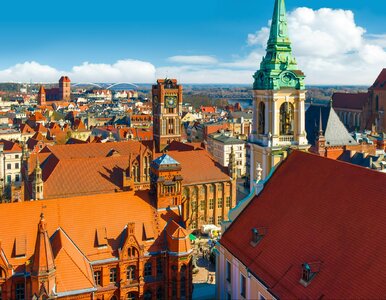 Miniatura: Nowy taras z pięknym widokiem na miasto....