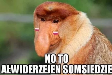 Mem po meczu Polska – Japonia 