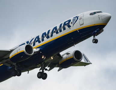 Miniatura: Szef Ryanaira bardzo krytycznie o CPK....