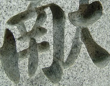 Miniatura: Pracownicy chińskiej fabryki muszą...