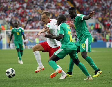 Miniatura: Rekord pobity. Mecz z Senegalem oglądało...