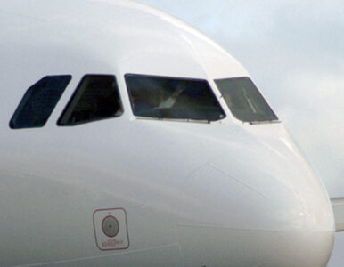 Miniatura: Zderzenie airbusów A320 na lotnisku w Moskwie