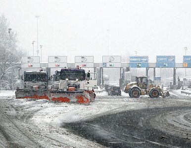 Miniatura: Latać i jeździć prawie się nie da. Śnieg...