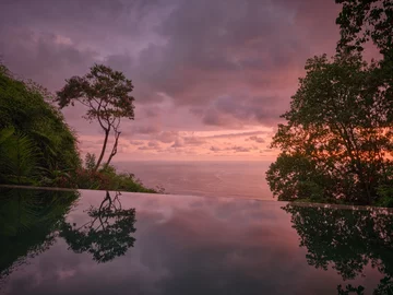 Dom w dżungli, projekt Formafatal 