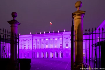 Iluminacja Pałacu Prezydenckiego z okazji Światowego Dnia Wcześniaka 