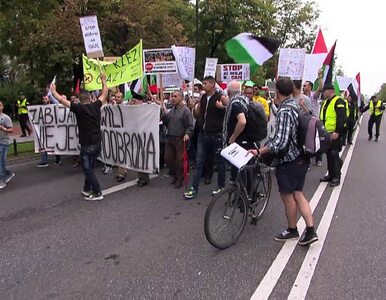 Miniatura: Wspólna sprawa Gaza - Warszawa - protest...