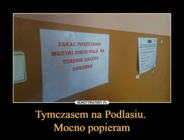 Memy związane z disco polo 