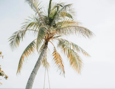 Miniatura: Piekielnie trudny QUIZ podróżniczy....