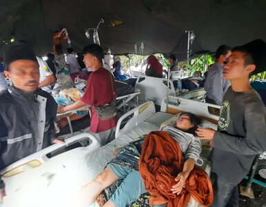 Miniatura: Silne trzęsienie ziemi w Indonezji. Są...