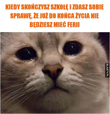 Mem z okazji ferii zimowych 