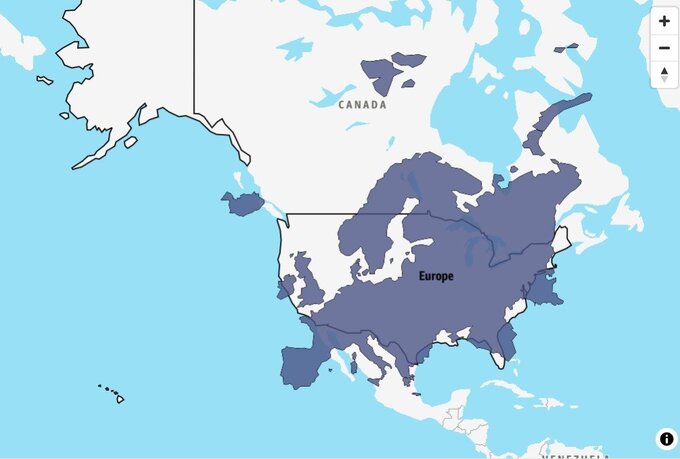 Porównanie Europy z USA