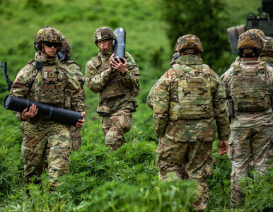 Miniatura: Żołnierze z USA zaginęli na granicy z...