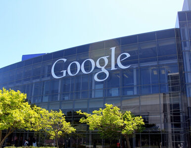 Miniatura: Sto procent energii z OZE. Google chce być...