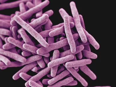 Miniatura: „To nie&nbsp;tylko choroba płuc,...