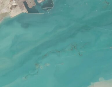 Miniatura: Katastrofa widoczna z kosmosu. Eksperci...