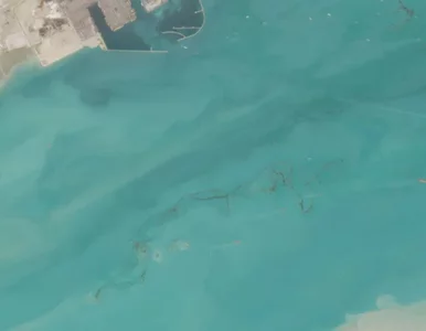 Miniatura: Katastrofa widoczna z kosmosu. Eksperci...