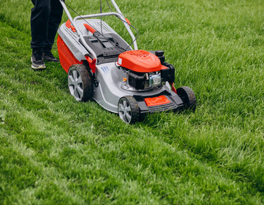 Miniatura: Kosisz trawę, możesz dostać mandat....