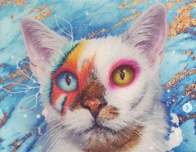 Miniatura: Imię tego kota nietrudno zgadnąć. Podobnie...