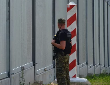 Miniatura: Najnowszy raport Straży Granicznej....